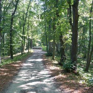 Romantische Parkanlage Spiegelsberge © Stadt Halberstadt/Pressestelle/Ute Huch