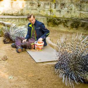 Frühstück im Tiergarten mit Begeisterung gestartet © Tiergarten Halberstadt
