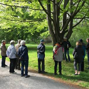 Anger © Stadt Halberstadt/Abteilung Stadtgrün