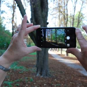 Instawalk © Tourist Information Halberstadt