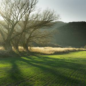 Wiese und Feld - reine Luft - Beispielfoto [(c): pixabay]