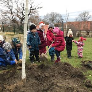 Kinder pflanzen einen Baum © Stadt Halberstadt/Abteilung Stadtgrün/Roswitha Hutfilz
