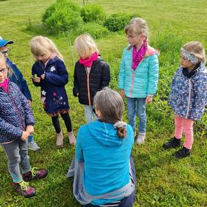 Kräutermemory unterm Gewächshausdach