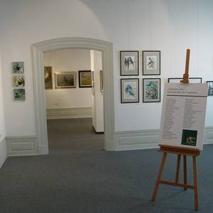 Blick in die Ausstellung 2005 ©Heineanum Halberstadt