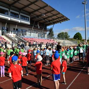 Tolle Leistungen und viel Spaß gab es beim großen Sportfest im Friedensstadion ©Stadt Halberstadt