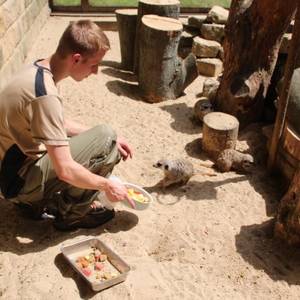 Tierpfleger/in Fachrichtung Zoo