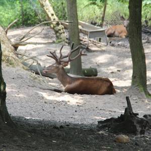 Tiergarten Halberstadt