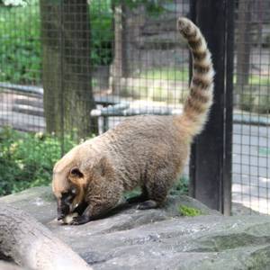 Tiergarten Halberstadt