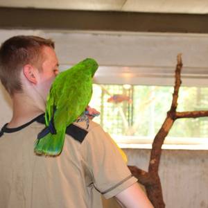 img 8324