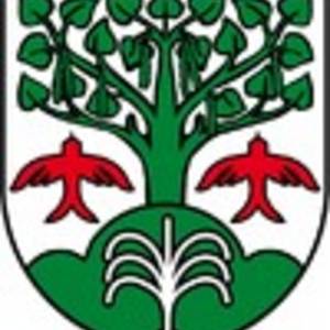 'In Silber aus grünem Dreiberg wachsend eine grüne Espe mit Blütenkätzchen, unterhalb der Baumkrone begleitet von zwei steigenden roten Milanen, der Dreiberg belegt mit einer silbernen Fontäne.'