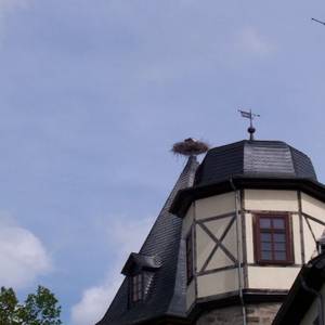 Schloss Emersleben