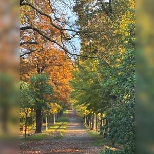 Nature Reset © FaMeNa