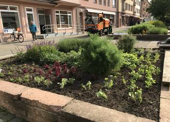 [(c): Stadt Halberstadt, Pressestelle]