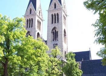 Dom