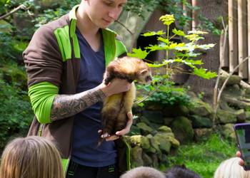 Angebote des Tiergarten Halberstadt für Kindergruppen [(c): Tiergarten Halberstadt]