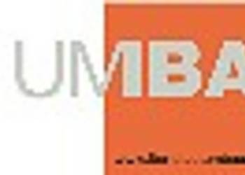 LOGO IBA 2010