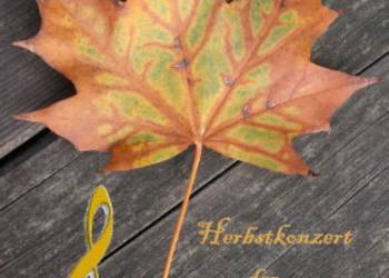Herbstkonzert der Kreismusikschule