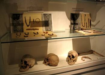 (c) Städtisches Museum Halberstadt