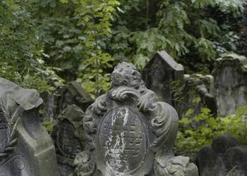 Jüdischer Friedhof in Halberstadt