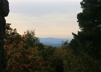 Blick zum Brocken