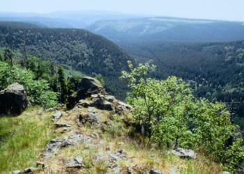 Blick ins Tal