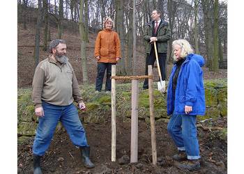 baum_mit_charakter.jpg