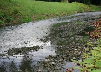 Holtemme bei Mahndorf