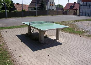 Sargstedt