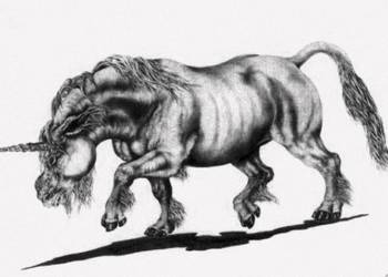 Moderne Einhorn-Gesamtrekonstruktion (Original von Dr. Elke Gröning; Pastel-Kreide; aus Ursus 17/1)