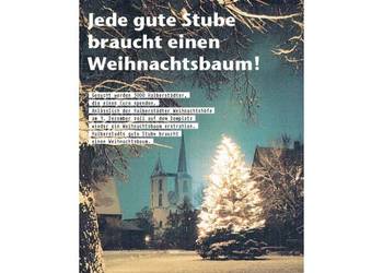 Einen Weihnachtsbaum für die Gute Stube - von Halberstädter für Halberstadt
