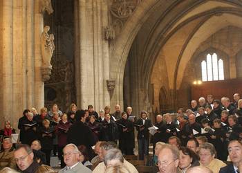 Gottesdienst zum Reformationstag im Dom zu Halberstadt