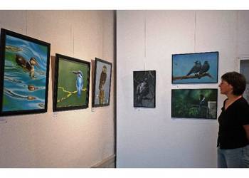 Besuch in der letzten Vogelbilder-Ausstellung 2011 (E. Winkelmann)