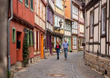 halberstadt,_rosenwinkel_c_harzer_tourismusverband,_a._kaßner_2_.jpg