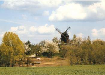 Bockwindmühle Badersleben