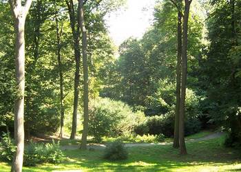 Wanderroute durch den Wald