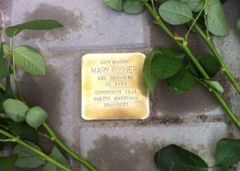 Der neu gelegte Stolperstein für Mary Rosner