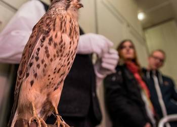 Museumsdirektor Rüdiger Becker lädt am 18. November ein, interessante Präparate im Sammlungsmaga-zin des Vogelkundemuseums zu besuchen