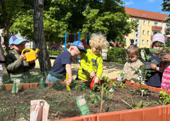 Kleine Gärtner in der Kita Regenbogen ©Kita Regenbogen, Stadt Halberstadt
