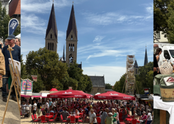 Rückblick auf Ton am Dom 2025 - Ein Fest voller Handwerk, Musik und Lebensfreude auf dem Halberstädter Domplatz ©Stadt Halberstadt, Jeannette Schroeder