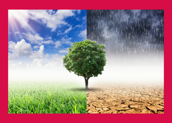 Klimastammtisch- der Stadt Halberstadt ©Stadt Halberstadt