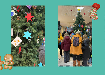 Halberstädter Wunschweihnachtsbaum 2025 ©Stadt Halberstadt, J. Schroeder