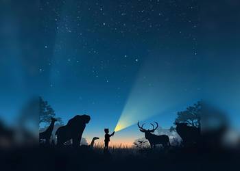 [(c): KI generiert- Stadt Halberstadt]