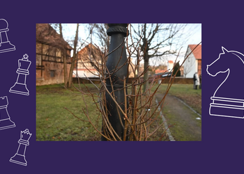 Neue Baumfigur im Schachdorf Str&ouml;beck eingeweiht &copy;Holger Wegener