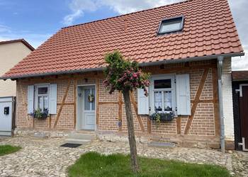 [(c): Frauke Meenken]