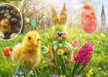 Ostern in Halberstadt &ndash; Fr&uuml;hling erleben & entdecken &copy;Stadtmarketing (KI)