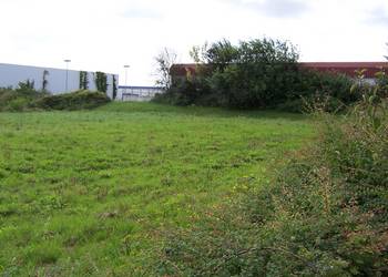 suelzeteiche-780.jpg
