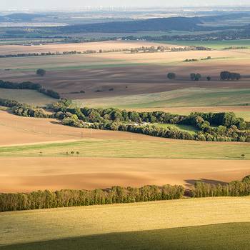 Halberstadt von oben... ...ein kleines Abenteuer mit dem Brockenballon