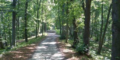 [(c): Stadt Halberstadt/Pressestelle/Ute Huch]