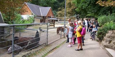 [(c): Tiergarten Halberstadt]