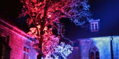 weihnachsthoefe windhoevel 7
